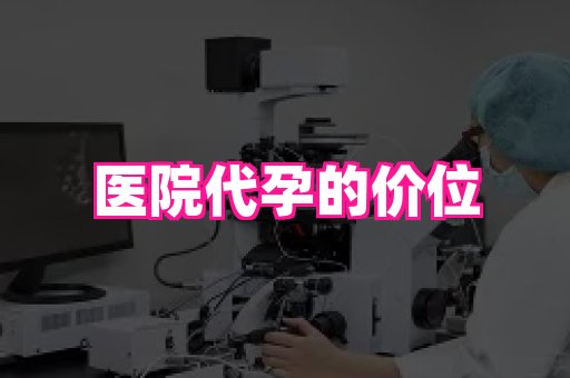 国际助孕网站 1