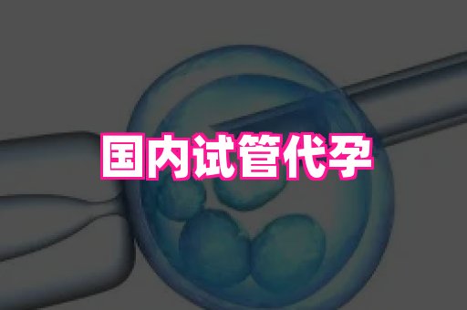 国际助孕网站 4